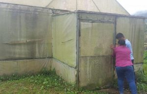 DOCENTES ATEMORIZADOS POR VANDALISMO EN IPT ALTO DE PIEDRA