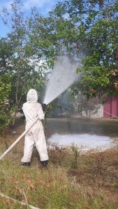 ABEJAS AFRICANAS SERIA AMENAZA EN VERAGUAS