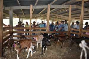 REALIZAN DÍA DE CAMPO EN PONUGA