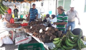 LOGRAN VENDER SUS PRODUCTOS