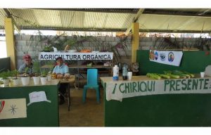 EXITOSA FERIA DE AGRICULTURA ORGÁNICA