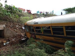 BUS CAE AL PRECIPIO