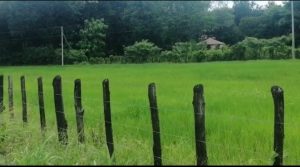 Ministerio Público realiza diligencia de allanamiento en casa de ex jefe de seguridad en Veraguas.