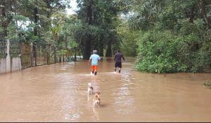 Viviendas afectadas, deslizamientos entre otras incidencias han dejado las lluvias en Soná y Mariato
