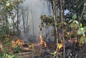 Inicia campaña para prevenir incendios forestales en Veraguas.