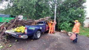 Vendedores de legumbres de Santiago, son afectados por las lluvias.