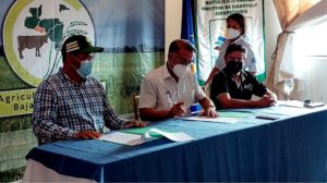 Firman acuerdo con productores para reducir gases invernadero en el proceso de cultivo de arroz.
