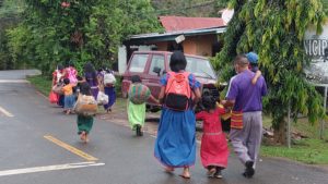 La leishmaniasis es una enfermedad que sigue latente en el norte de Santa Fe.