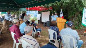 Productores de arroz en Veraguas se capacitan en innovación para proteger al medio ambiente.
