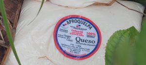 Detectan gran cantidad de quesos con etiquetas del programa de gobierno Panamá Solidario en una finca privada en San Francisco.