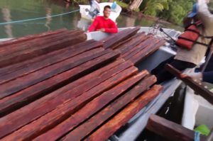 Decomisan madera de tala ilegal en los predios del Parque Nacional Cerro Hoya.