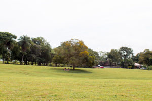 Veraguas cuenta con el primer parque interactivo, el único a nivel del interior del país.
