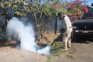 MINSA, mantiene vigilancia y operativos contra el dengue en Veraguas.