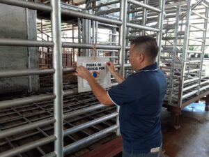 Acodeco reporta anomalía en subasta ganadera.
