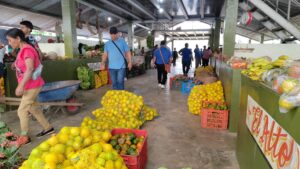 Productores esperan tener ganancias en la feria de Santa Fé de Veraguas.