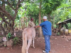 MIDA refuerza medidas preventivas contra la encefalitis equina en Santisgo.