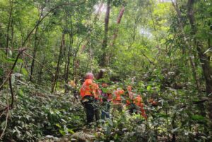 Buscan a adulto mayor desaparecido en Las Palmas.