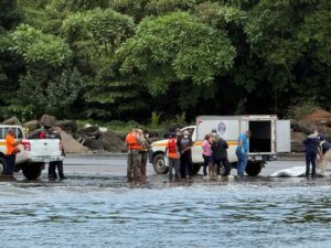 Hombre fue buscado por cuatros días pero fue encontrado sin vida en Mariato.