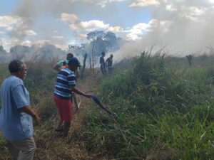 Incendio de masa vegetal pone en riesgo caserío en Santiago.