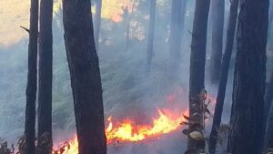 Incendio forestal en La Yeguada es controlado por brigadistas de Mi Ambiente.