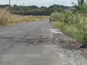 Denuncian vertido de desechos cárnicos en la vía hacia Cañazas Arriba de Santiago.