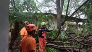 Sinaproc atiende incidencias por lluvias en Santiago.