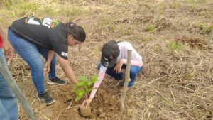 Graduandos del Instituto Urracá, apuestan por una reforestación con visión de futuro.