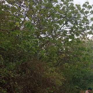 Image for twitter card