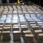 DECOMISAN 1,520 PAQUETES DE DROGA EN MARIATO