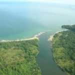 AMBIENTALISTAS EN ALERTA POR ISLA COIBA