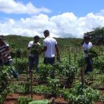 HACEN PRODUCIR LA TIERRA