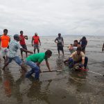 RESCATAN COCODRILO EN PLAYA EL LAGARTERO