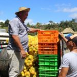 PIDEN MEJORAS EN CAMINOS DE PRODUCCIÓN
