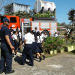 DESALOJAN ESCUELA POR PRESENCIA DE ABEJAS AFRICANIZADAS