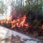 ALARMA POR INCENDIOS FORESTALES