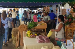 Productores de porotos en Santa Fé, temen pérdidas por la falta de comercialización.