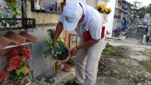 MINSA encuentra criaderos de mosquitos en el cementerio de Santiago.